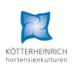 Kotter