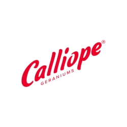 Calliope