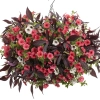 Supertunia® MINI VISTA 'Coral' kompozycja kwiatowa