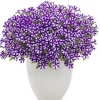 Supertunia® MINI VISTA® 'Violet Star' – fioletowo-białe kwiaty w gwiazdki